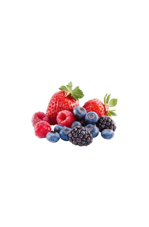 Frutos rojos fruta