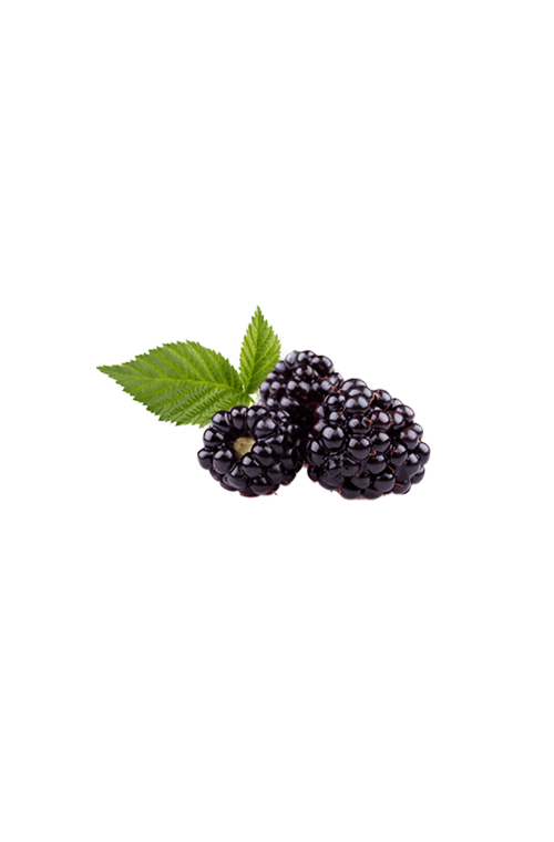 Zarza fruta