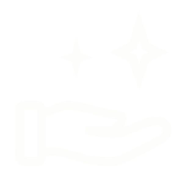 Misión